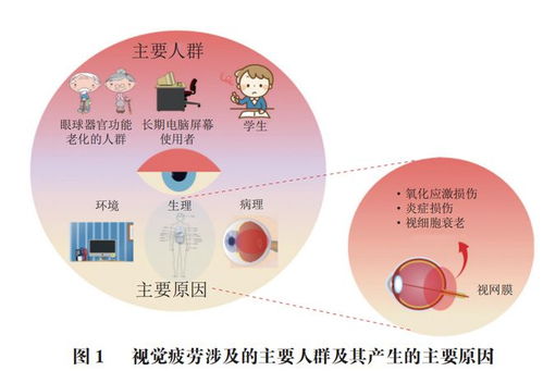 类胡萝卜素类原料在缓解视觉疲劳保健食品中的应用研究进展——基于北京联合大学闫文杰教授团队的研究